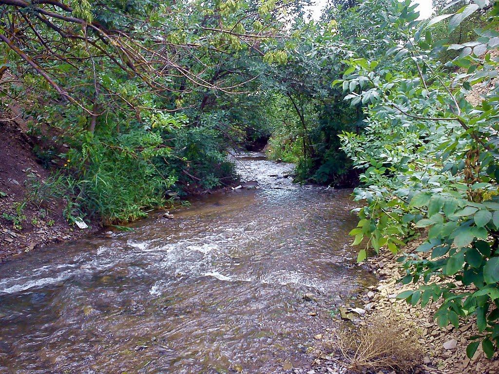 Бірюкове з panoramio.com - Бирюково