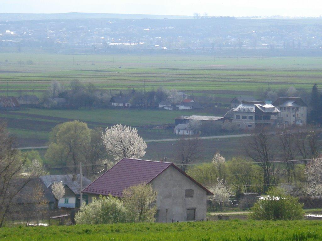 Нижні Синівці з panoramio.com - Нижні Синівці