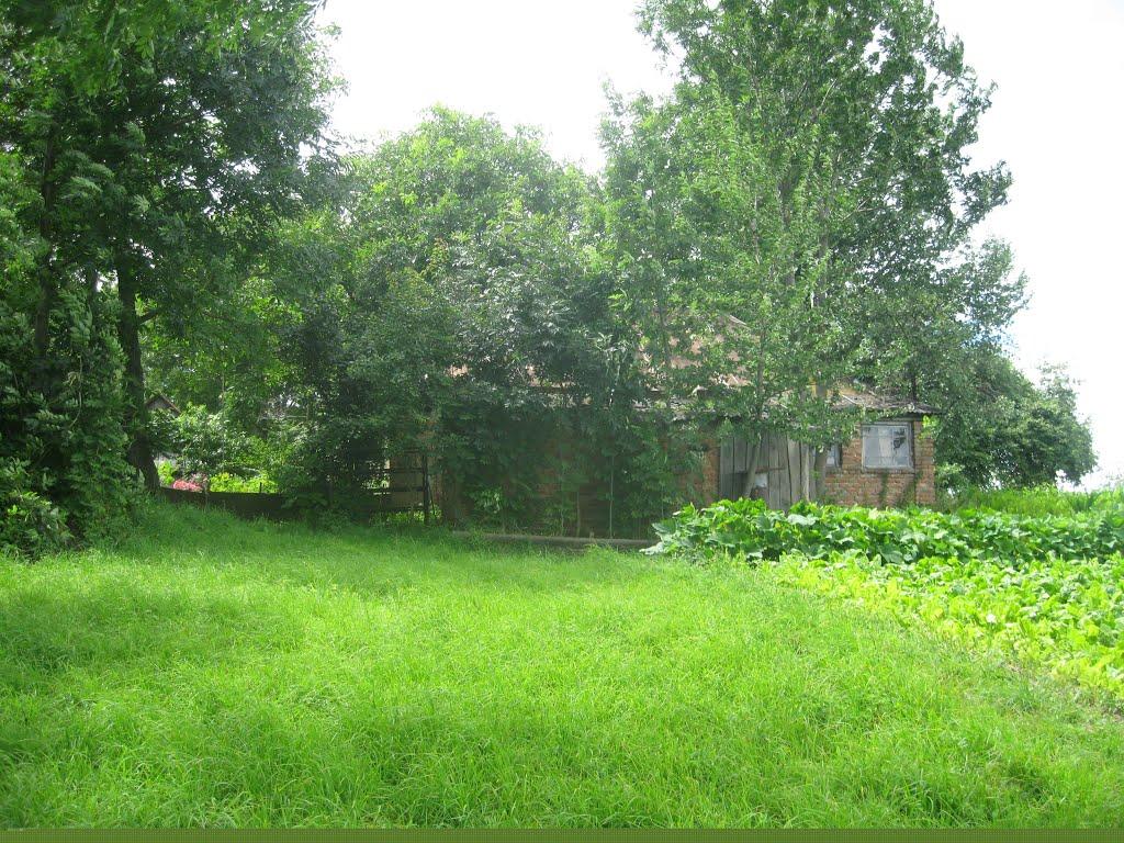 Довгів з panoramio.com - Довгів