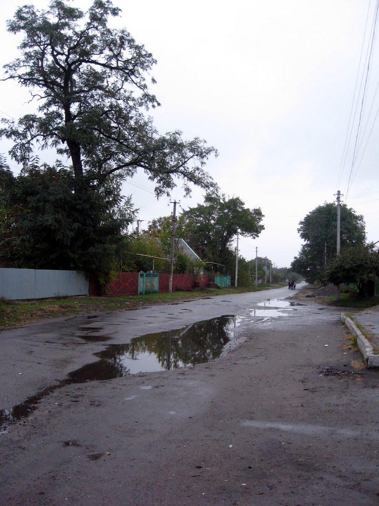 Білецьківка з panoramio.com - Білецьківка