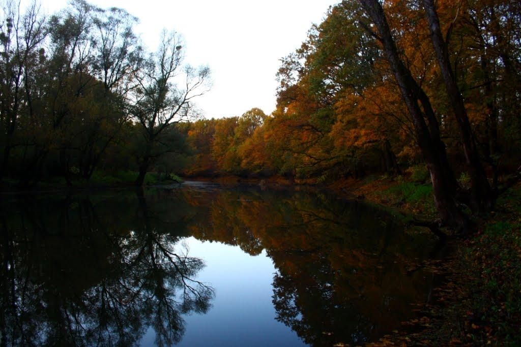 Малі Селменці з panoramio.com - Малые Селлменцы