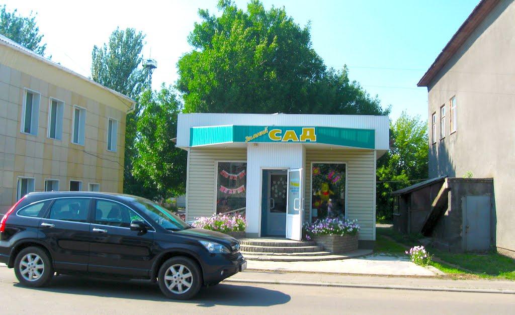 Времівка з panoramio.com - Времівка