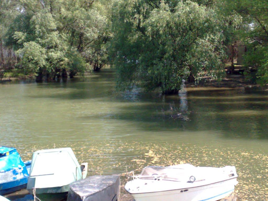 Рені з panoramio.com - Reni