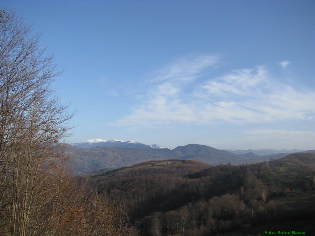 Великий Бичків з panoramio.com - Великий Бычков