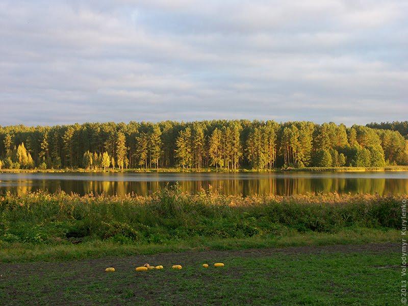 Дубовичі з panoramio.com - Дубовичі