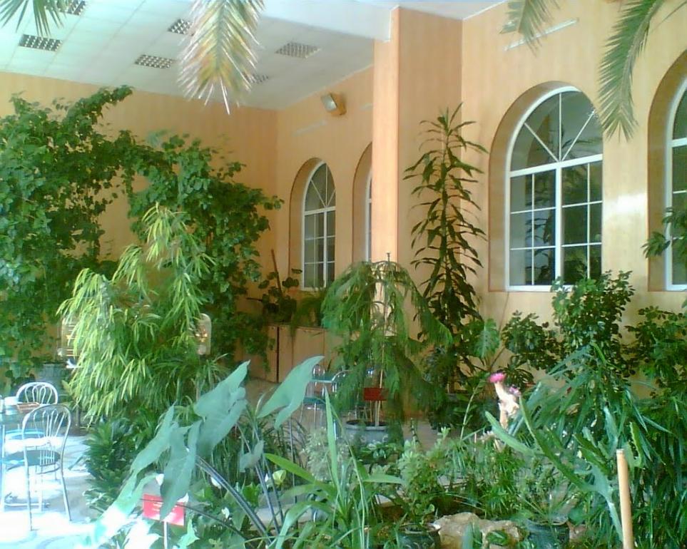 Глеюватка з panoramio.com - Глееватка
