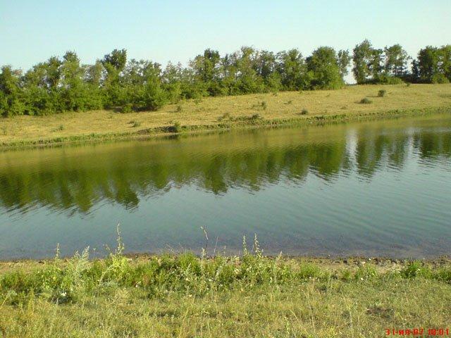 Дмитрівка з panoramio.com - Дмитрівка