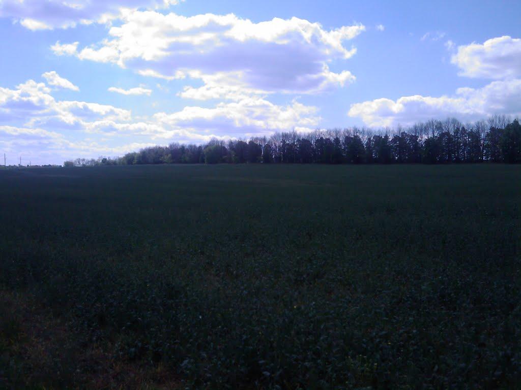 Ксаверове з panoramio.com - Ксаверове