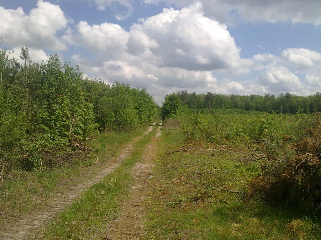 Білотин з panoramio.com - Білотин