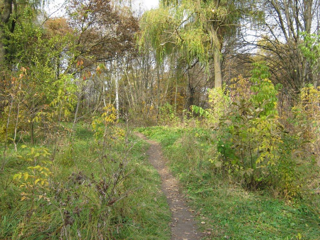 Бурштин з panoramio.com - Burshtyn