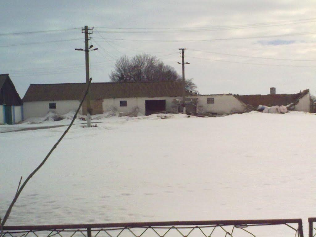 Черемошне з panoramio.com - Черемошне