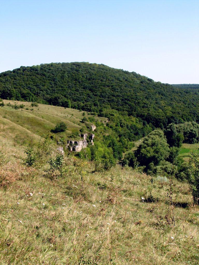 Черче з panoramio.com - Черче