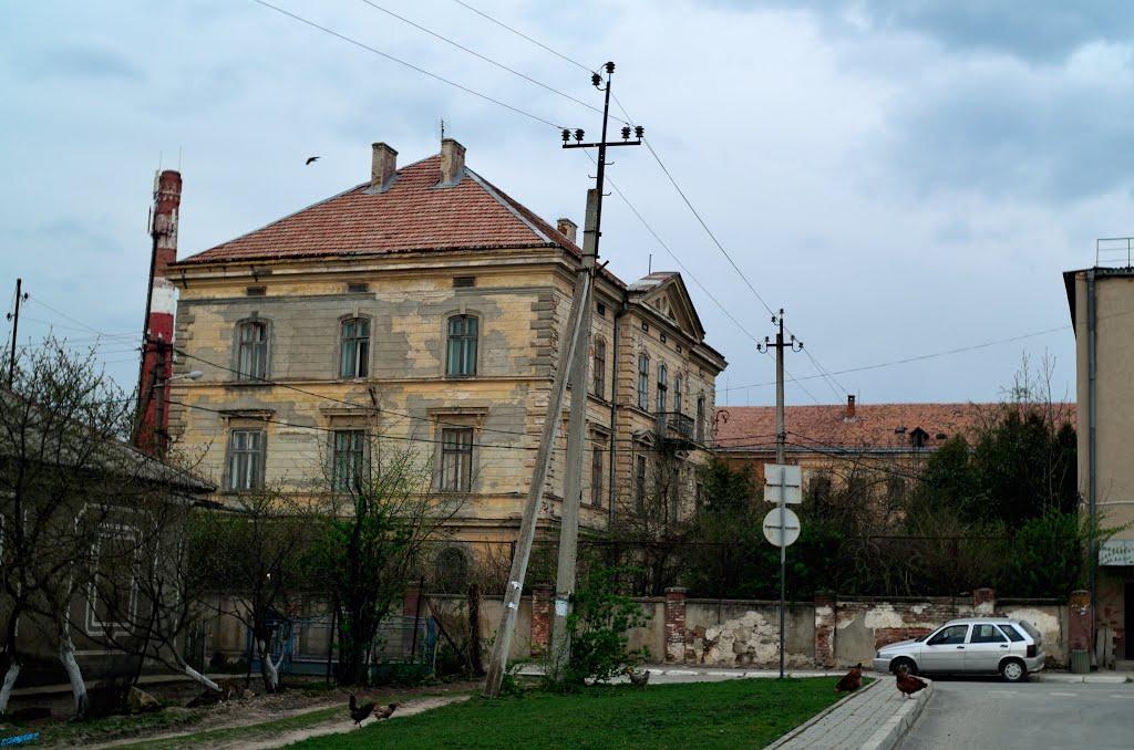 Монастириська з panoramio.com - Монастириська