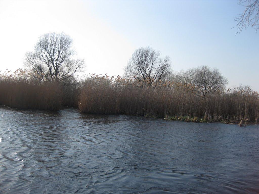 Михнівка з panoramio.com - Михновка