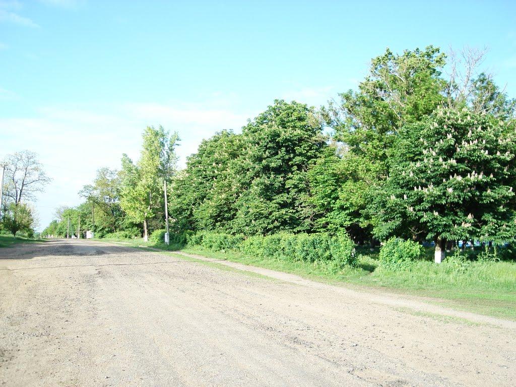 Кавунівка з panoramio.com - Кавунівка