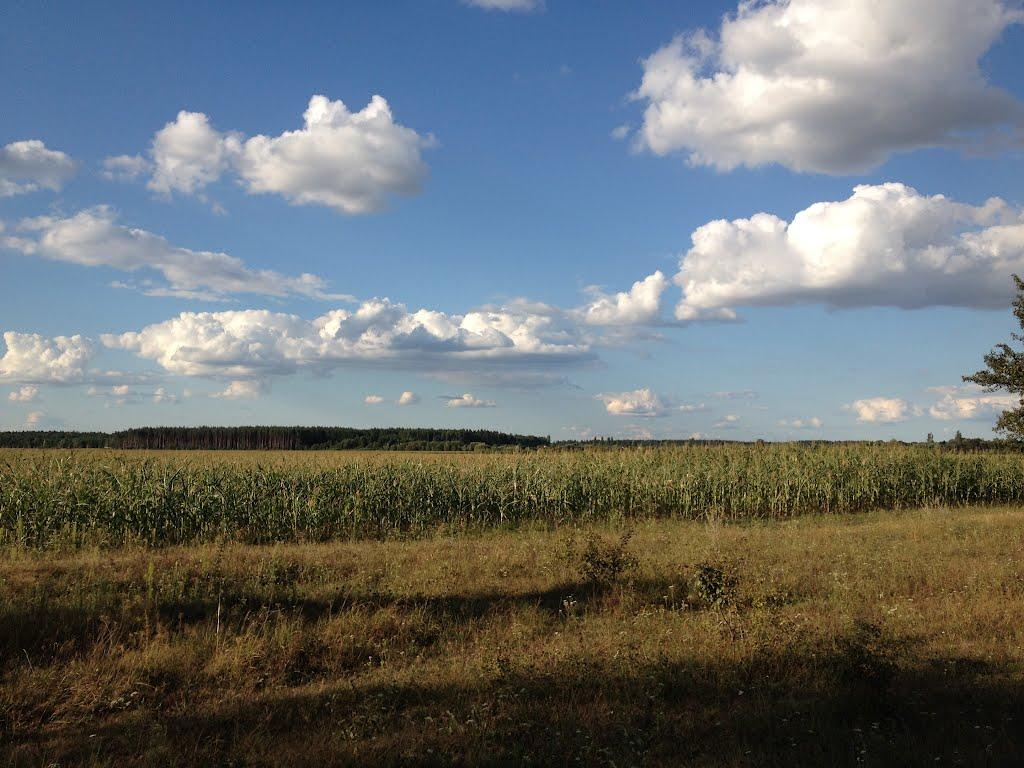 Браженець з panoramio.com - Браженець