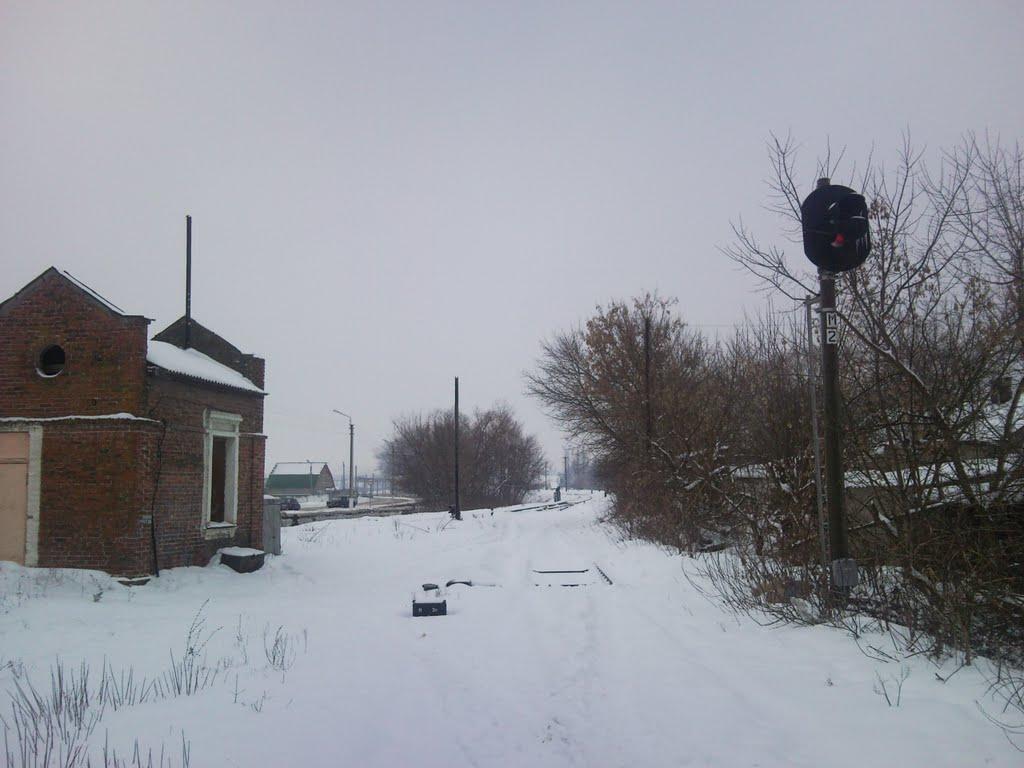 Плетенівка з panoramio.com - Pletenivka