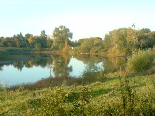 Устимівка з panoramio.com - Устимовка