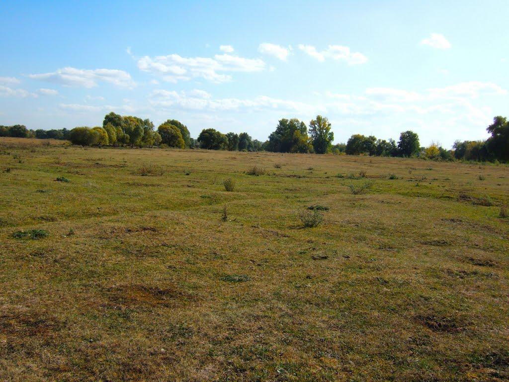 Острів з panoramio.com - Острів