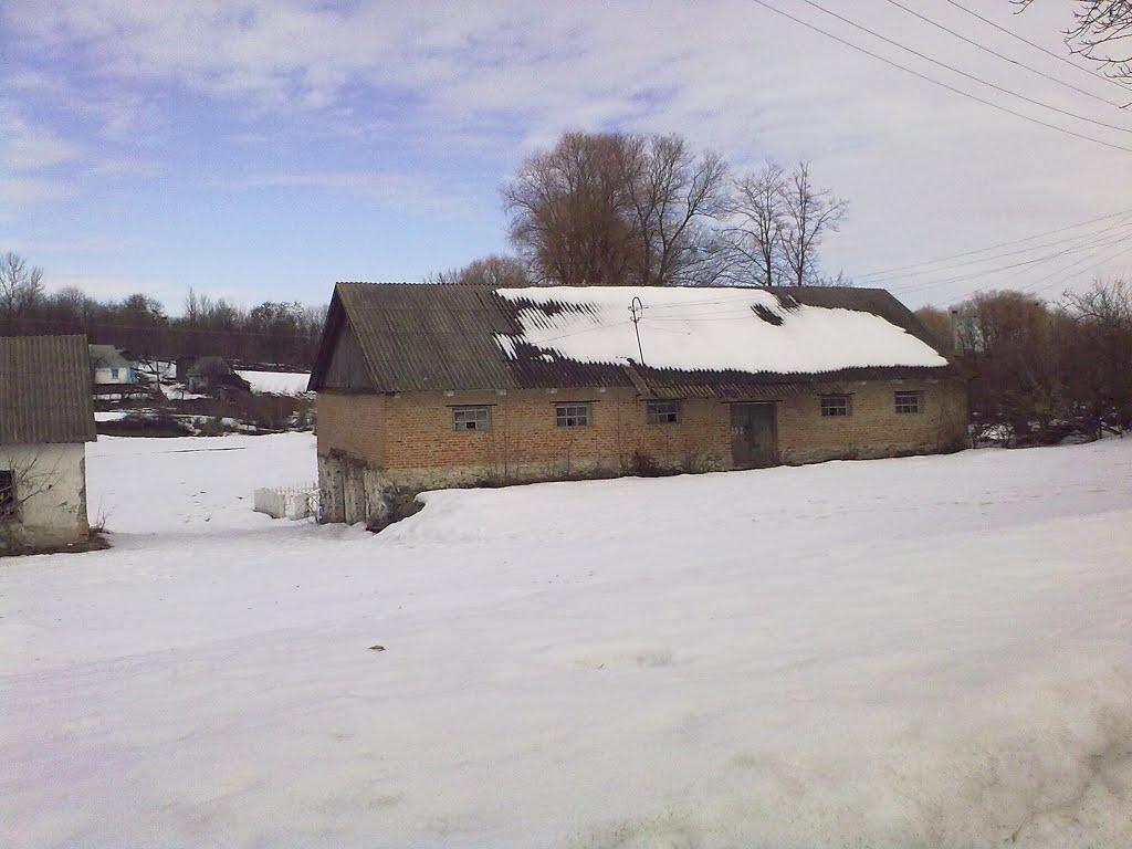 Черемошне з panoramio.com - Черемошне