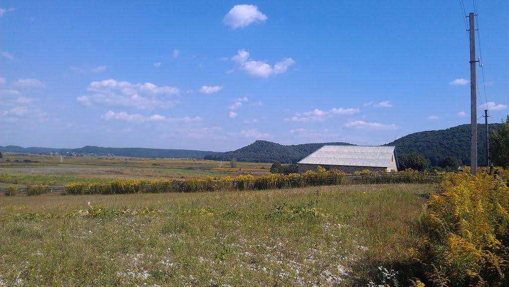 Антонівці з panoramio.com - Антоновцы
