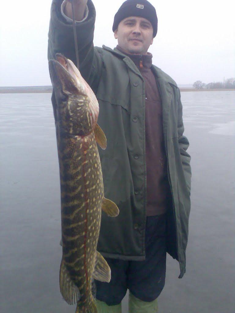 Івниця з panoramio.com - Івниця