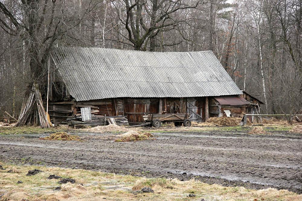 Виликий Обзир з panoramio.com - Виликий Обзир