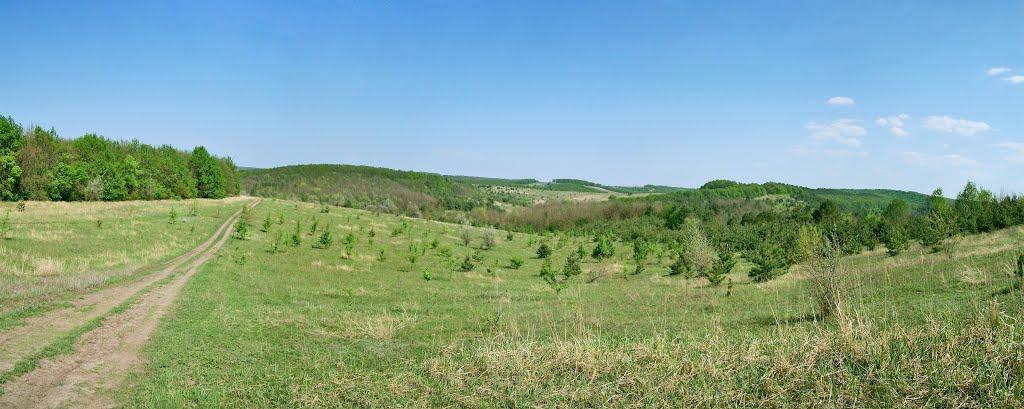 Стецівка з panoramio.com - Стецівка