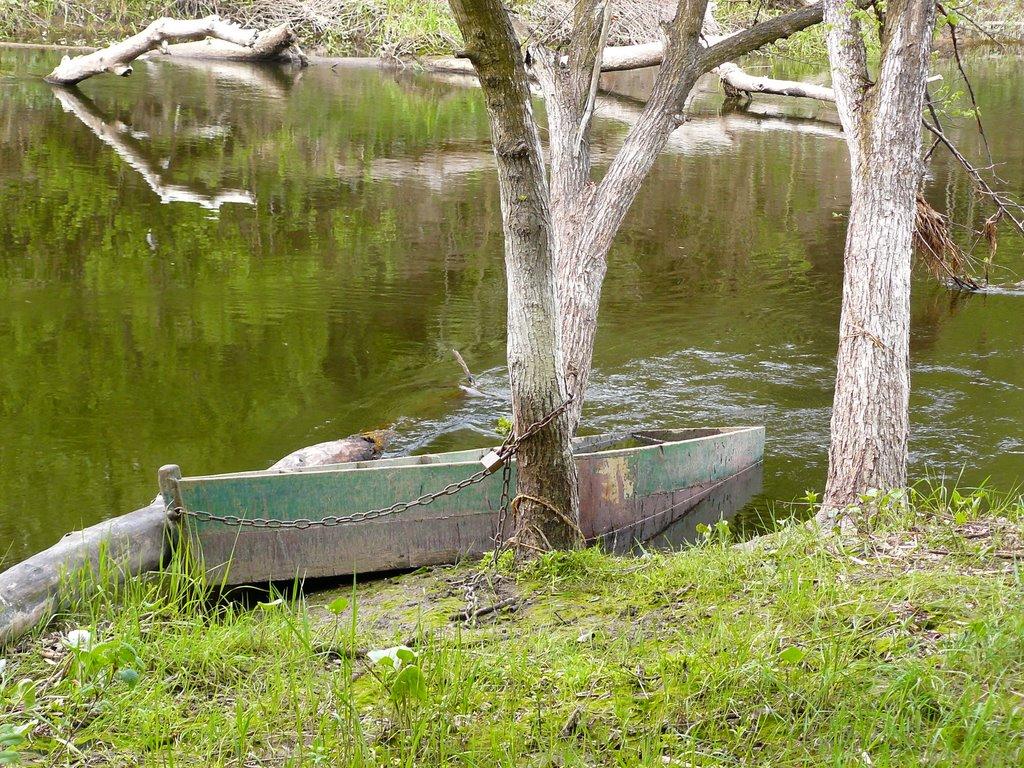 Кунівка з panoramio.com - Кунівка
