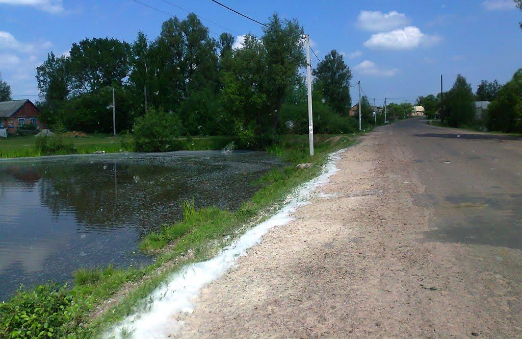 Швайківка з panoramio.com - Швайківка