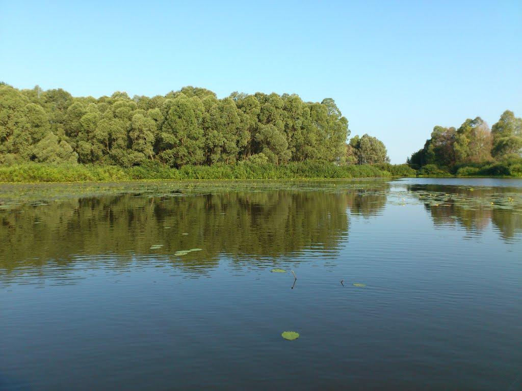 Миси з panoramio.com - Миси