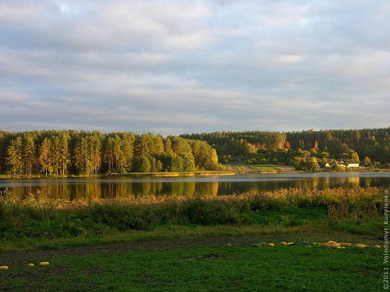 Дубовичі з panoramio.com - Дубовичи