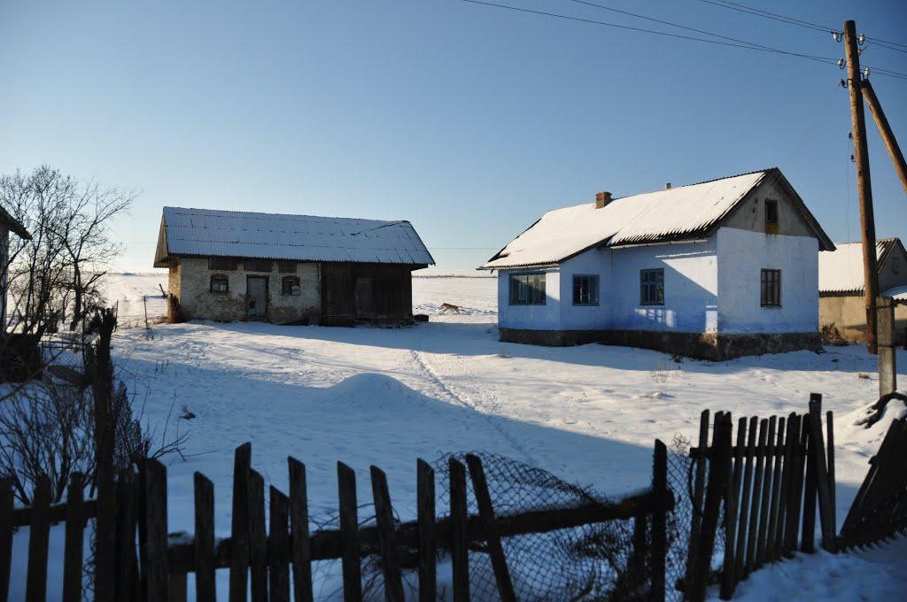 Глібовичі з panoramio.com - Глібовичі