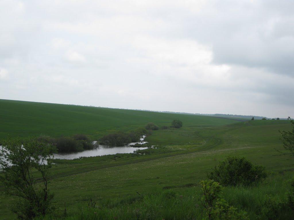 Черепашинці з panoramio.com - Черепашинцы