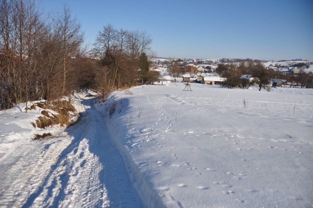 Глібовичі з panoramio.com - Глібовичі