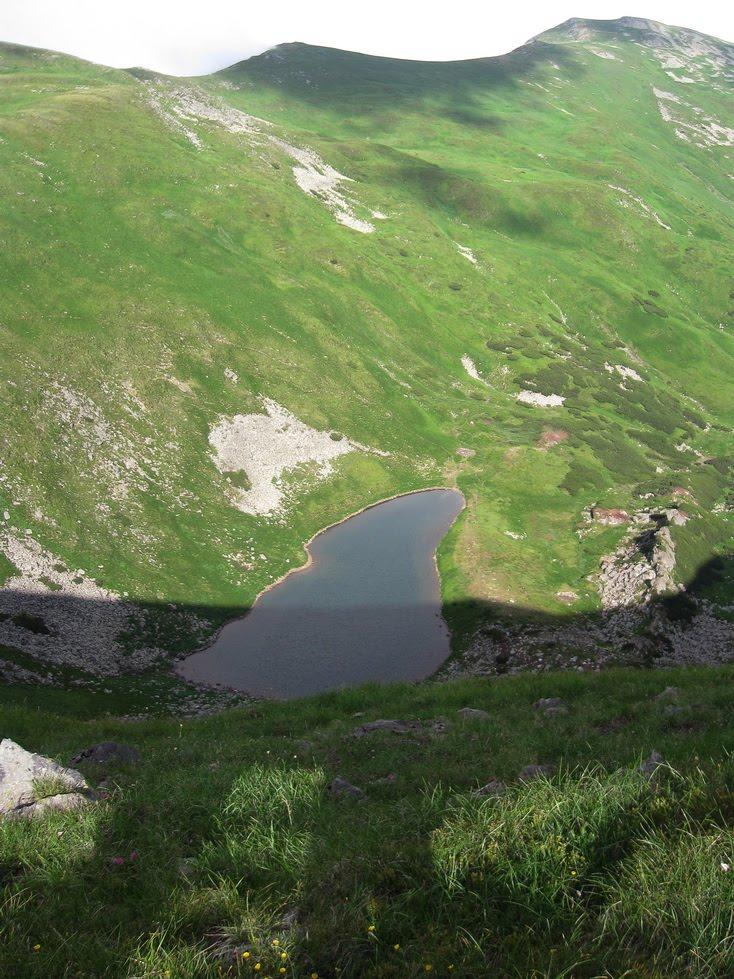 Кваси з panoramio.com - Kvasy