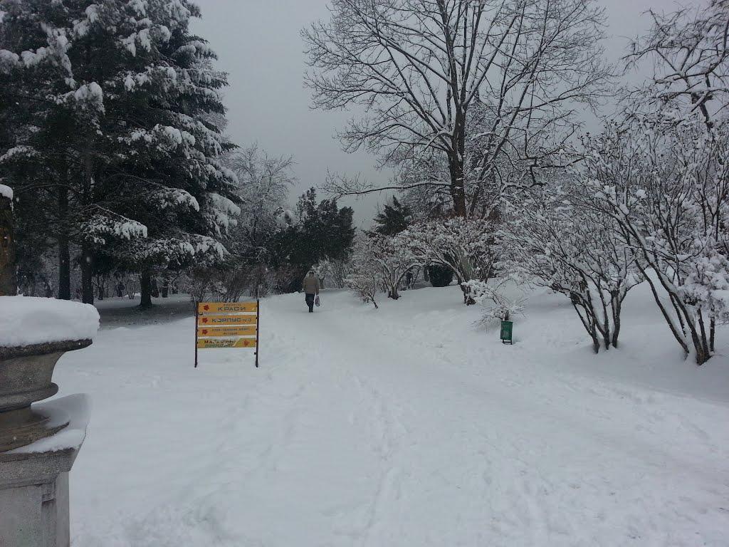 Карпати з panoramio.com - Карпаты