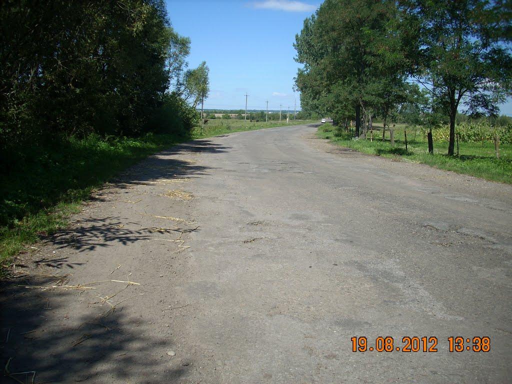 Негівці з panoramio.com - Негівці