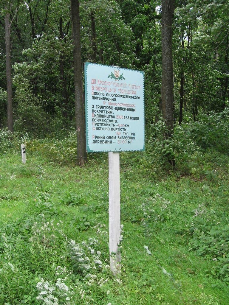 Великий Бобрик з panoramio.com - Великий Бобрик