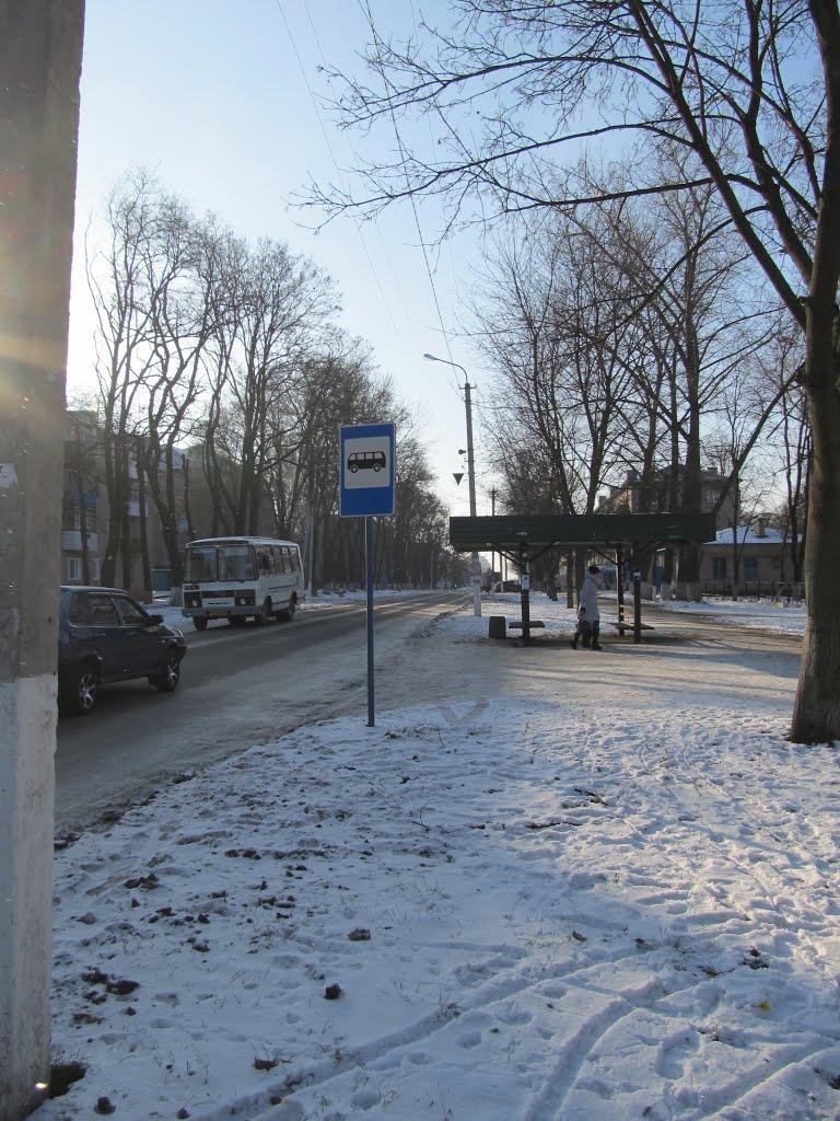Вільногірськ з panoramio.com - Вольногорск
