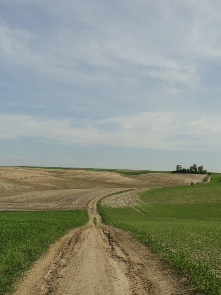 Буяни з panoramio.com - Буяни