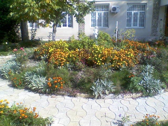 Чистоводне з panoramio.com - Чистоводное