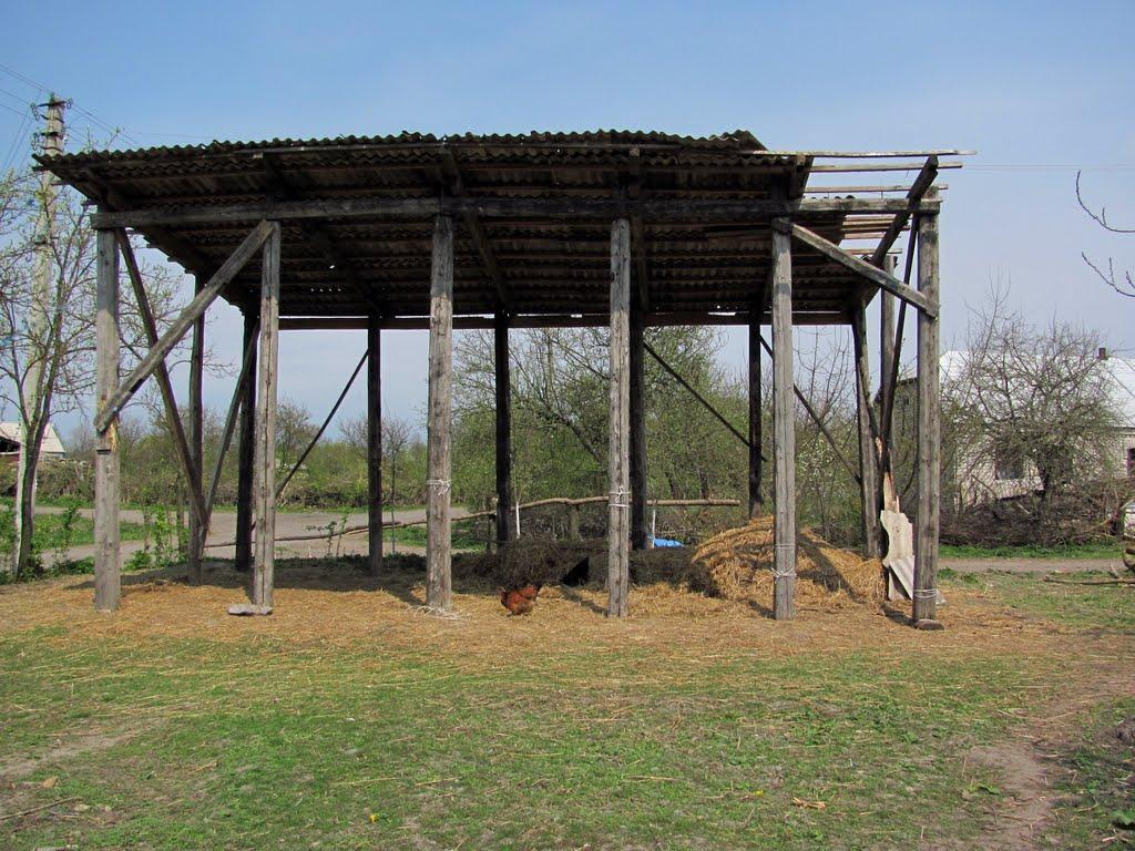 Чеснівка з panoramio.com - Чеснівка