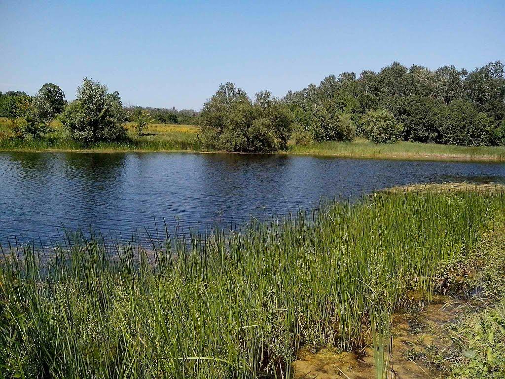 Приліпка з panoramio.com - Прилипка