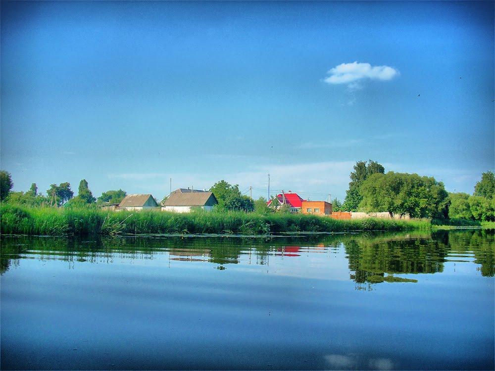 Поліське з panoramio.com - Полесское