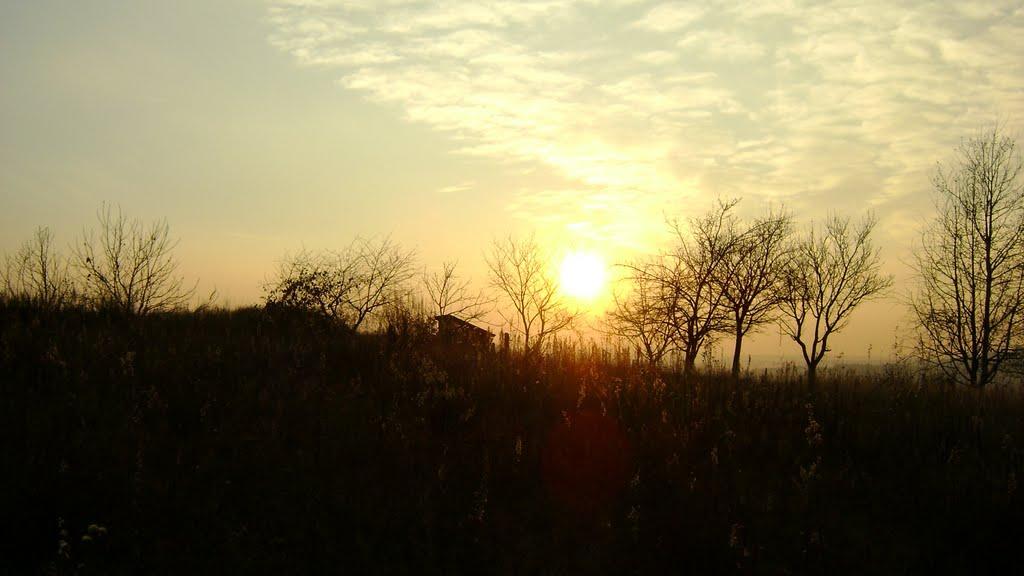 Іршава з panoramio.com - Irshava
