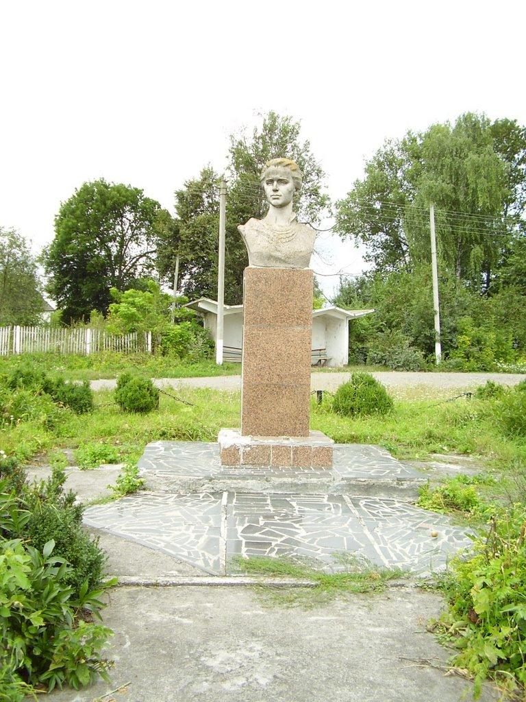 Чеснівка з panoramio.com - Чеснівка