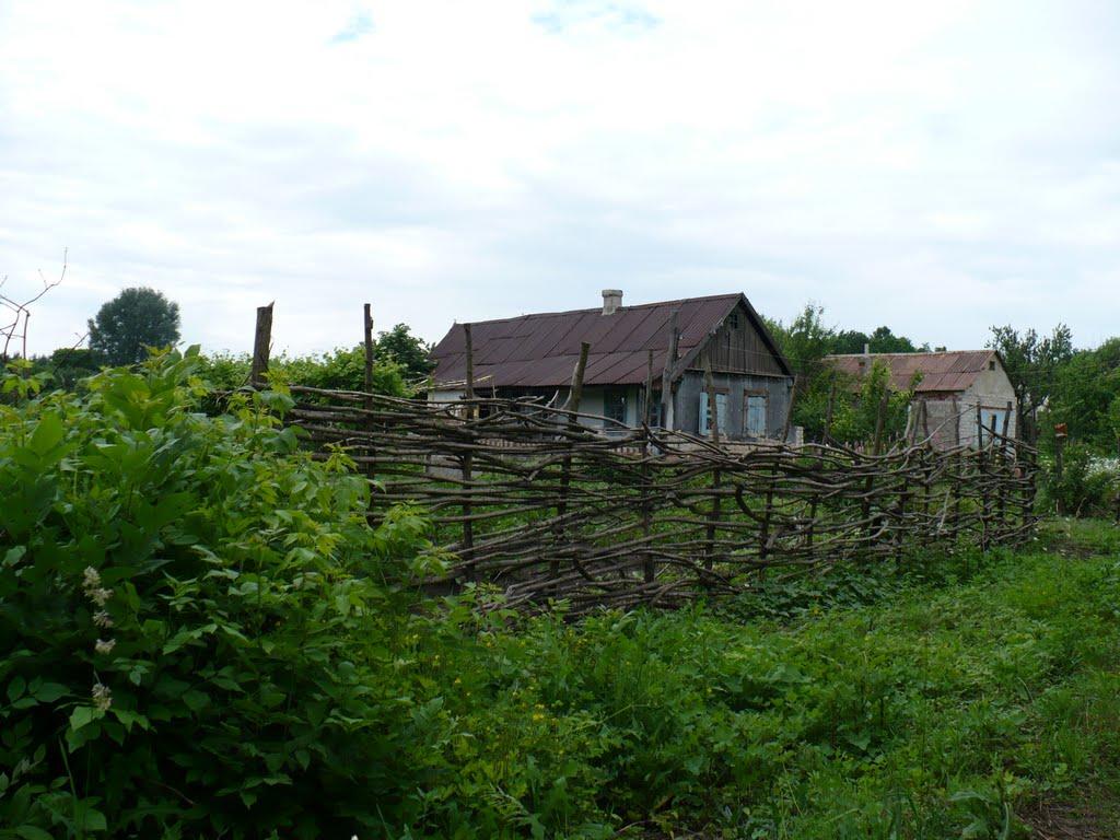 Василівка Перша з panoramio.com - Василівка Перша