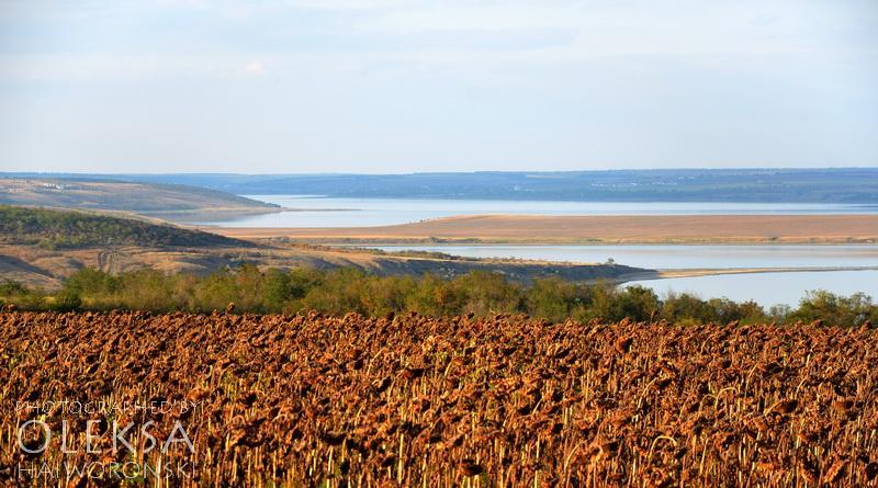 Калинівка з panoramio.com - Калиновка