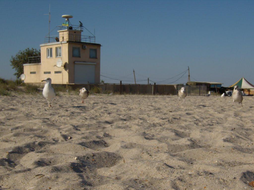 Приморське з panoramio.com - Приморское